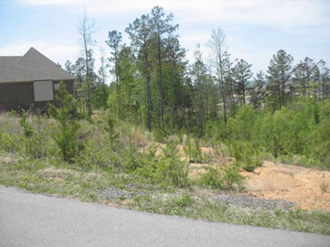 2020-Residential-BankOwnedAssets_4#2