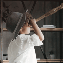 shareholders message from the president