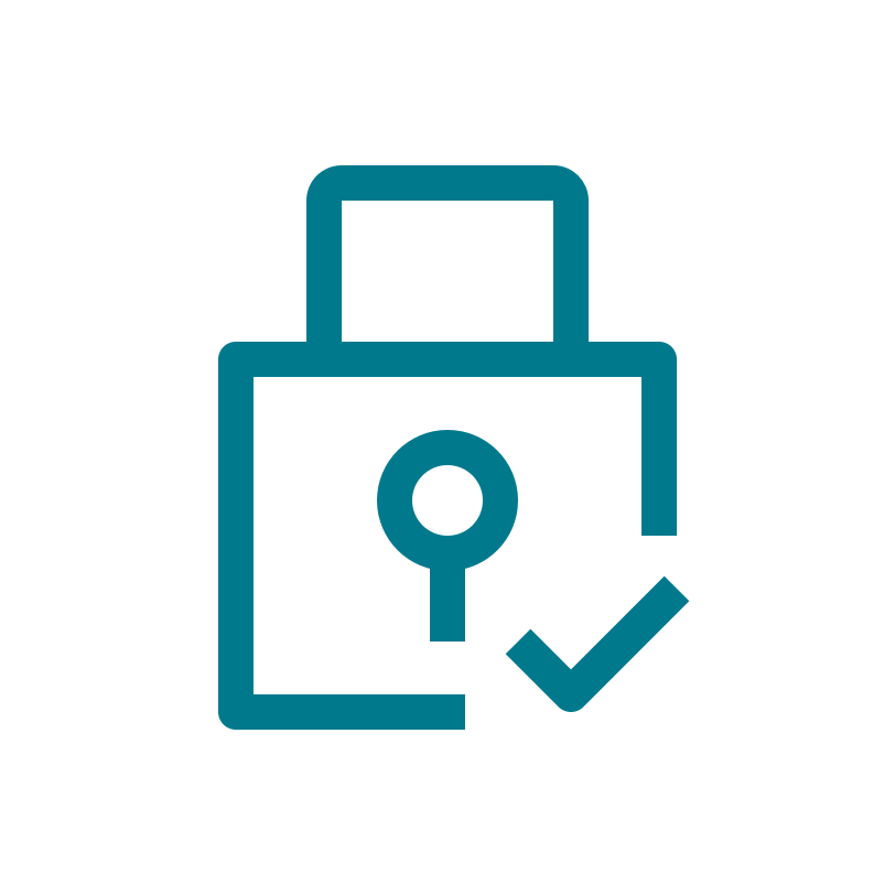 security icon